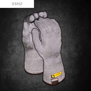 55h2_solar_thumb