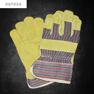 88pbsa_thumb