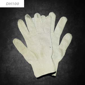 DH100_thumb