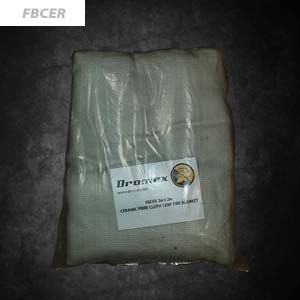 FBCER_thumb