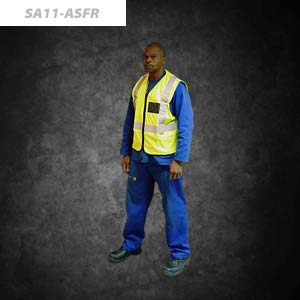 SA11-ASFR_thumb (1)