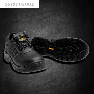 SS1011shoe_thumb (1)