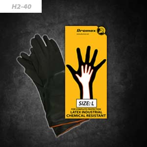 h240_thumb