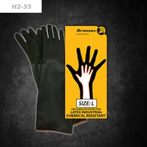 h255_thumb